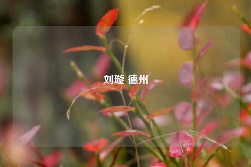 刘璇 德州