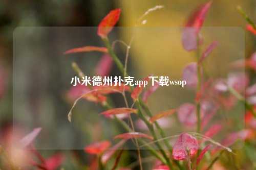 小米德州扑克app下载wsop