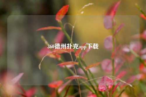 360德州扑克app下载