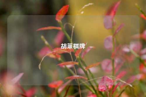 胡莱棋牌