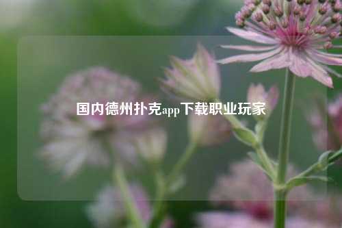 国内德州扑克app下载职业玩家