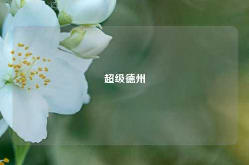 超级德州