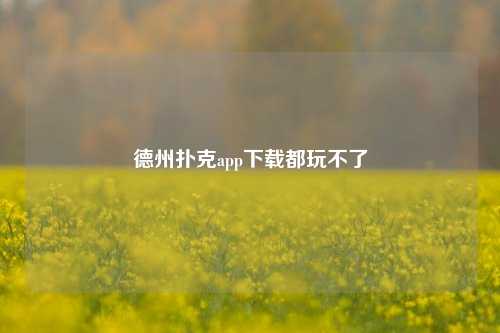 德州扑克app下载都玩不了