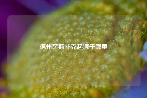 德州萨斯扑克起源于哪里