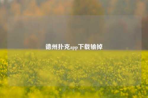 德州扑克app下载输掉
