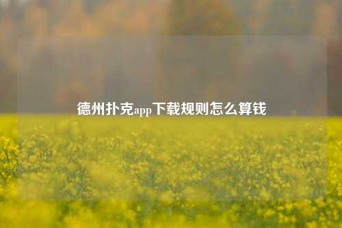 德州扑克app下载规则怎么算钱