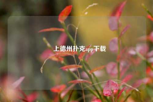 線上德州扑克app下载