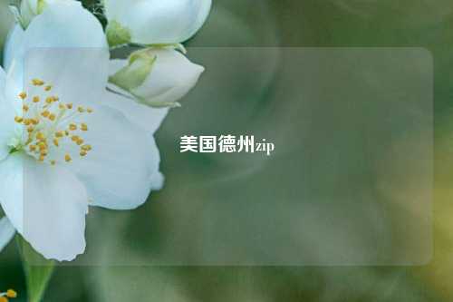 美国德州zip