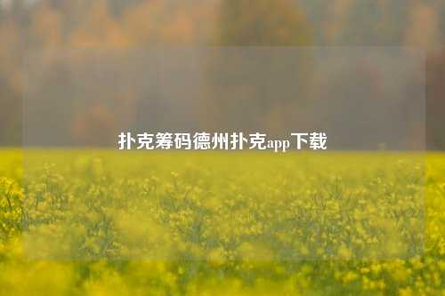扑克筹码德州扑克app下载