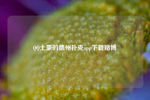 QQ土豪的德州扑克app下载赌博