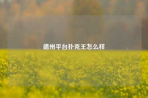 德州平台扑克王怎么样